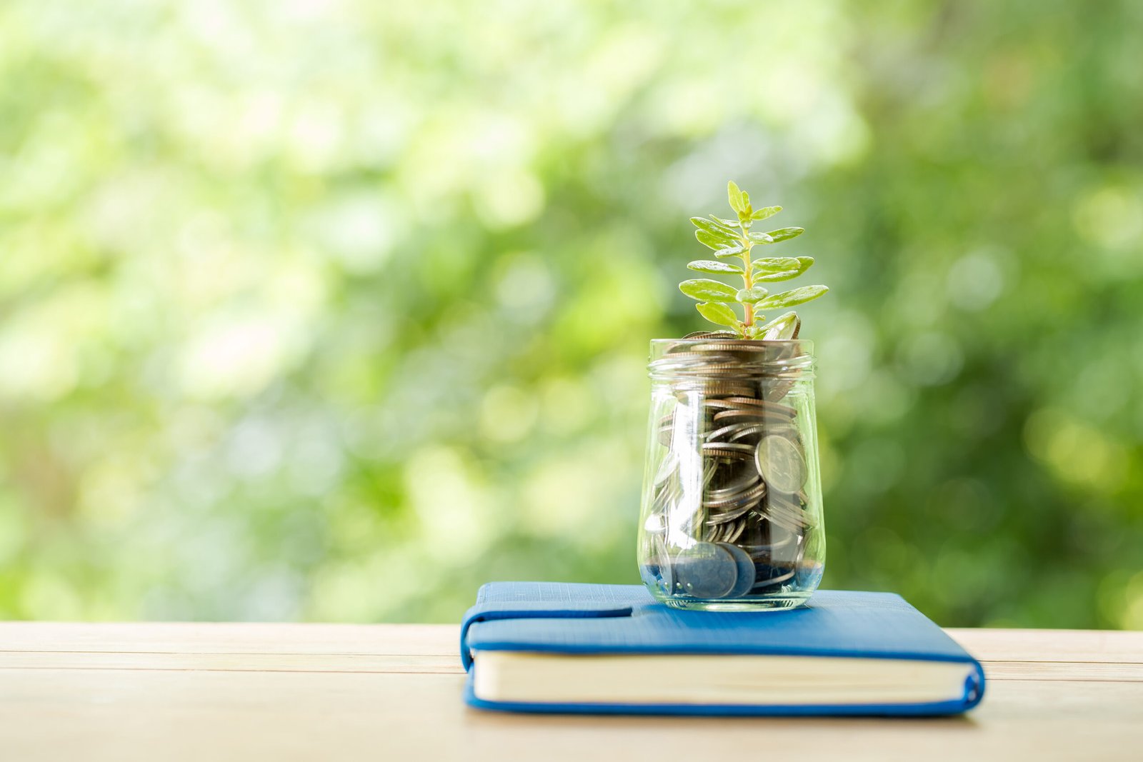 Plant growing from coins in the glass jar on blurred green natural background. copy space for business and financial growth concept.